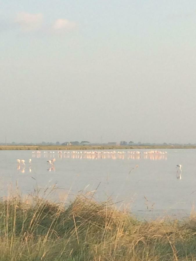 Cervia Marina Suite Exterior photo